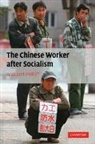 William Hurst, William (Assistant Professor Hurst, Hurst William - Chinese Worker After Socialism