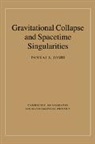 Pankaj S. Joshi, Pankaj S. (Tata Institute of Fundamental Re Joshi, JOSHI PANKAJ S, Joshi Pankaj S. - Gravitational Collapse and Spacetime Singularities