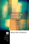 Brian Neil Peterson - Ezekiel in Context