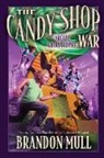 Brandon Mull - The Arcade Catastrophe