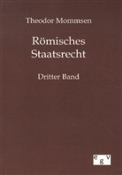 Theodor Mommsen - Römisches Staatsrecht. Bd.3