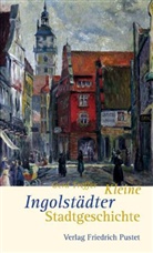 Gerd Treffer - Kleine Ingolstädter Stadtgeschichte