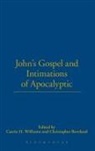 Christopher Rowland, Christopher C./ Williams Rowland, Catrin H Williams, Catrin H. Williams, Christopher Rowland, Christopher C. Rowland... - John's Gospel and Intimations of Apocalyptic