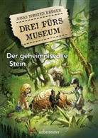Jonas T Krüger, Jonas T. Krüger, Jonas Torsten Krüger, Dirk Schulz - Drei fürs Museum - Der geheimnisvolle Stein