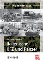 Gabriele Faggioni - Italienische KFZ und Panzer