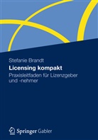 Stefanie Brandt - Licensing kompakt