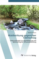 Matthias Kalberer - Waldwirkung gegenüber Steinschlag