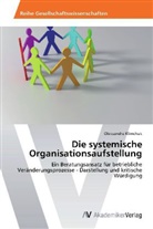 Oleksandra Klimchuk - Die systemische Organisationsaufstellung