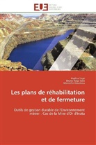 Marcellin Kouakou, Brun Raga Salo, Bruno Raga Salo, Hadiz Yayé, Hadiza Yayé - Les plans de rehabilitation et de