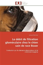 Julianne Pommier, Pommier-j - Le debit de filtration