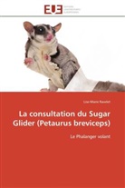 Lise-Marie Ravelet, Ravelet-l - La consultation du sugar glider