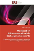 Abdelaziz Bouchikhi, Bouchikhi-a - Modelisation bidimensionnelle de