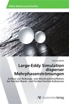 Felix Langfeldt - Large-Eddy Simulation disperser Mehrphasenströmungen