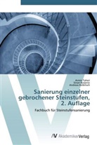 Andreas Kolbitsch, Sina Korjenic, Sinan Korjenic, Armi Taheri, Armin Taheri - Sanierung einzelner gebrochener Steinstufen, 2. Auflage