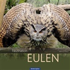 Helmut Kraus - Faszination Eulen