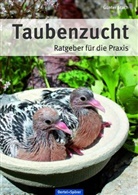 Günter Stach - Taubenzucht