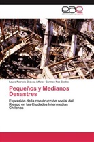 Carmen Paz Castro, Laura Patrici Chávez Alfaro, Laura Patricia Chávez Alfaro - Pequeños y Medianos Desastres
