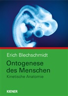 Erich Blechschmidt - Ontogenese des Menschen