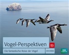 John Downer - Vogel-Perspektiven