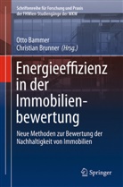 Otto Bammer, Christian Brunner - Energieeffizienz in der Immobilienbewertung