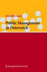Benedikt Speer - Public Management in Österreich