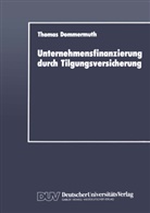 Thomas Dommermuth - Unternehmensfinanzierung durch Tilgungsversicherung