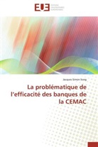 Jacques Simon Song, Song-j - La problematique de l efficacite