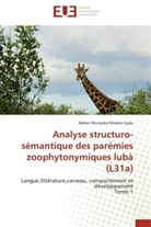 Cyalu-A, Adrien Munyoka Mwana Cyalu - Analyse structuro semantique des