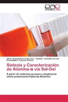 Castruita de León, Griselda Castruita de León, Yibran Argeni Perera Mercado, Yibran Argenis Perera Mercado, Esmeralda M. Saucedo Salazar - Síntesis y Caracterización de Alúmina-  vía Sol-Gel