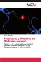 Román Rossi Pool - Plasticidad y Dinámica en Redes Neuronales