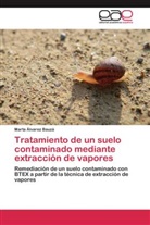 Marta Álvarez Bauzá - Tratamiento de un suelo contaminado mediante extracción de vapores