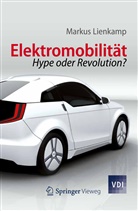 Markus Lienkamp - Elektromobilität