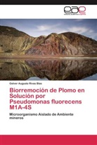 Gelver Augusto Rivas Blas - Biorremoción de Plomo en Solución por Pseudomonas fluorecens M1A-4S