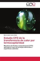 Mª Isabel Lamas Galdo, María Isabel Lamas Galdo - Estudio CFD de la transferencia de calor por termocapilaridad