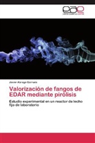 Javier Ábrego Garrués - Valorización de fangos de EDAR mediante pirólisis
