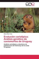 Silvia Villar Arias - Evolución cariotípica: Análisis genético de caviomorfos de Uruguay