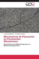 Félix Pérez-Jiménez, Gonzal Valdés Vidal, Gonzalo Valdés Vidal - Mecanismos de Fisuración en Pavimentos Bituminosos