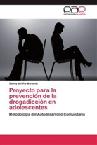 Solvey del Río Marichal, Solvey del Río Marichal - Proyecto para la prevención de la drogadicción en adolescentes