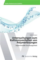 Andre Reimann - Untersuchungen zum Kollisionsverhalten von Polymerlösungen