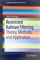 Adrian Pizzinga - Restricted Kalman Filtering
