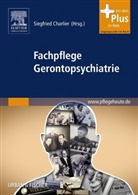Siegfrie Charlier, Siegfried Charlier - Fachpflege Gerontopsychiatrie