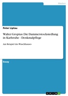 Peter Liptau - Walter Gropius: Die Dammerstocksiedlung in Karlsruhe - Denkmalpflege