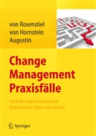 Siegfried Augustin, Elisabeth von Hornstein, Lutz von Rosenstiel, Augustin, Siegfried Augustin, Hornstei... - Change Management Praxisfälle