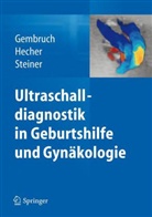 Gembruc, Ulrich Gembruch, Heche, Hecher, Kur Hecher, Kurt Hecher... - Ultraschalldiagnostik in Geburtshilfe und Gynäkologie