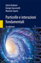 Sylvie Braibant, Giorgio Giacomelli, Maurizio Spurio - Particelle e interazioni fondamentali