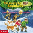 Mary Pope Osborne, Frank-Lorenz Engel - Lawinenhunde im Schneesturm, 1 Audio-CD (Audio book)
