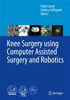 Fabi Catani, Fabio Catani, Zaffagnini, Zaffagnini, Stefano Zaffagnini - Knee Surgery using Computer Assisted Surgery and Robotics