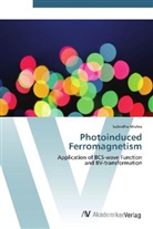 Subodha Mishra - Photoinduced Ferromagnetism