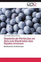 María Auxilio Aguayo Sánchez - Depósito de Partículas en Aire con Electrodos tipo Ópalos Inversos