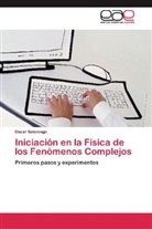 Oscar Sotolongo - Iniciación en la Física de los Fenómenos Complejos